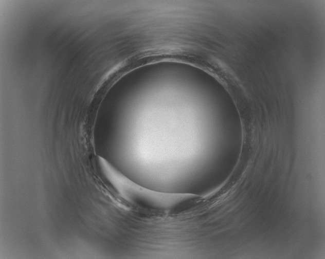 X0000054381210200508121557