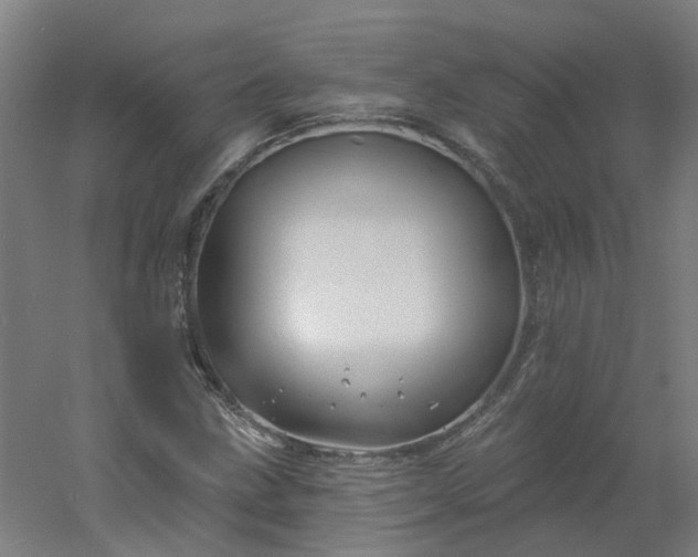 X0000054381211200508121557