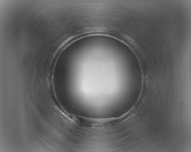 X0000054381212200508121557
