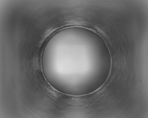 X0000054381215200508121557