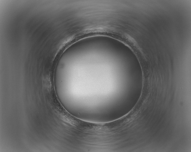 X0000054381218200508121558