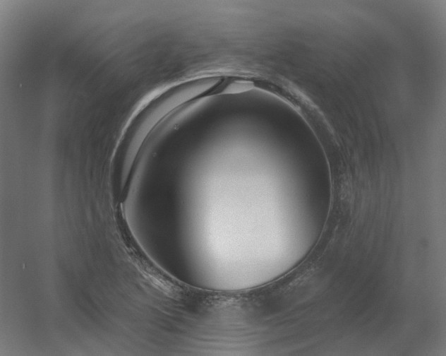 X0000054381222200508121558