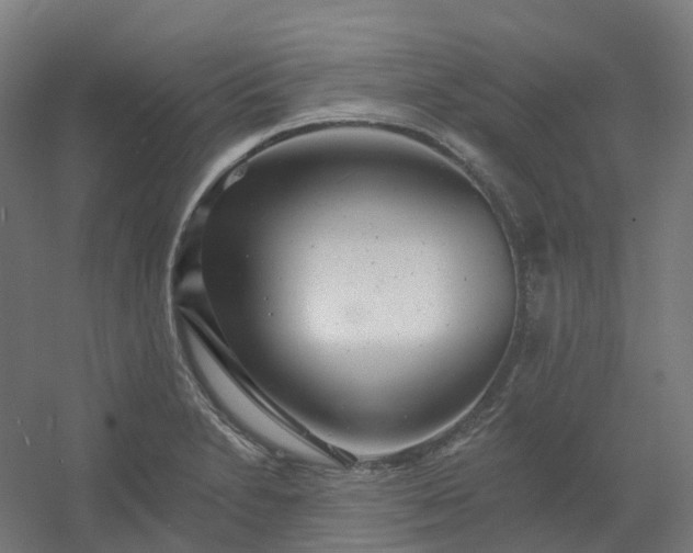 X0000054381230200508121558