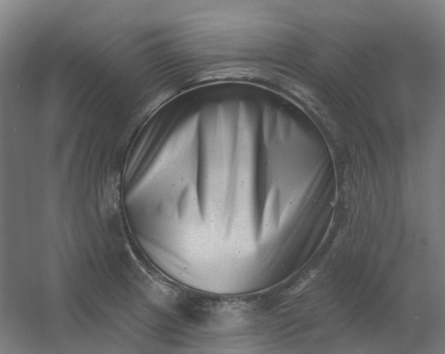 X0000054381233200508121558