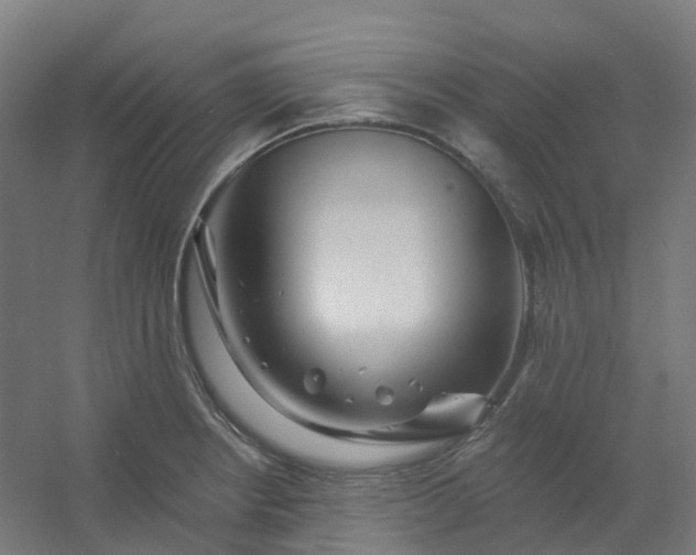 X0000054381234200508121558