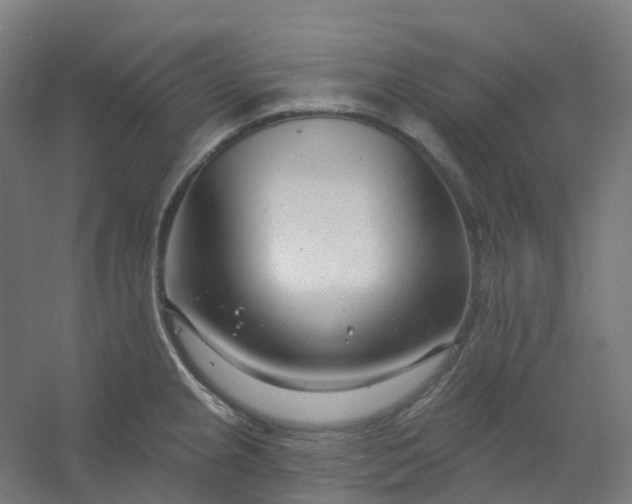 X0000054381237200508121558