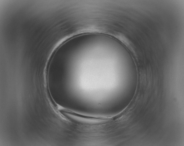 X0000054381238200508121558