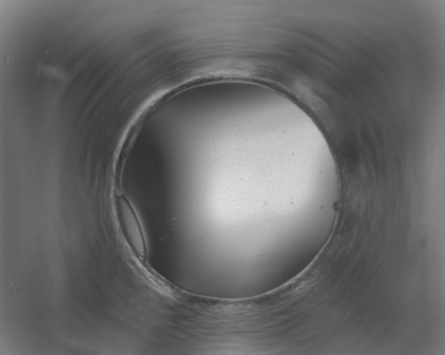 X0000054381240200508121558