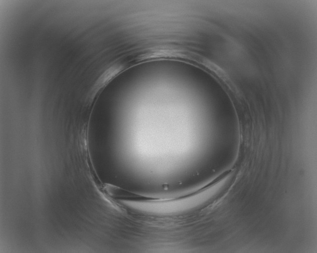 X0000054381241200508121558