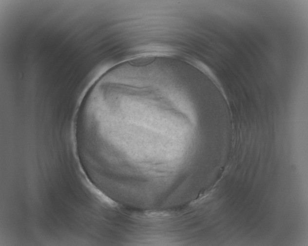 X0000054381243200508121558
