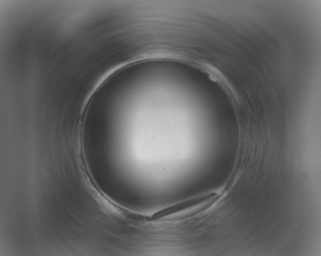 X0000054381244200508121558