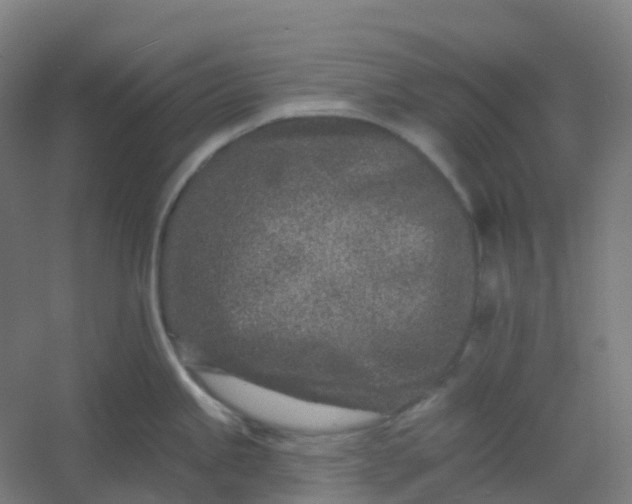 X0000054381245200508121558