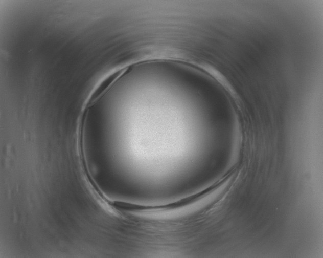 X0000054381246200508121558