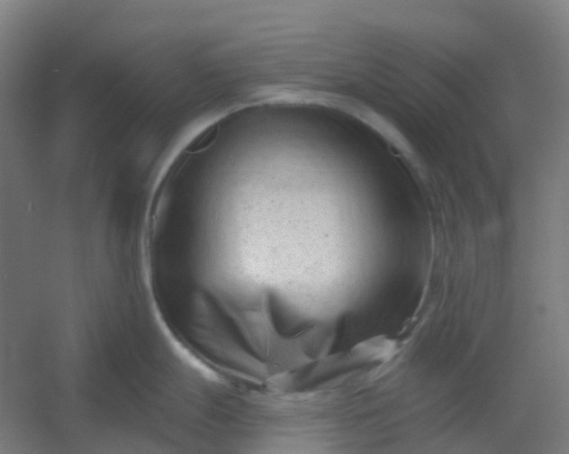 X0000054381247200508121558