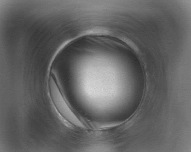X0000054381248200508121558