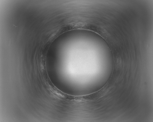 X0000054381250200508121557