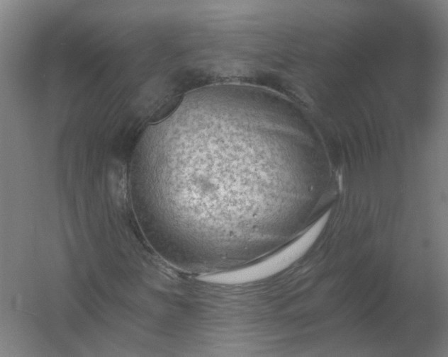X0000054381251200508121557