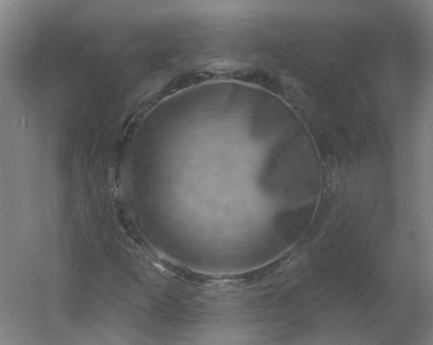 X0000054381253200508121557