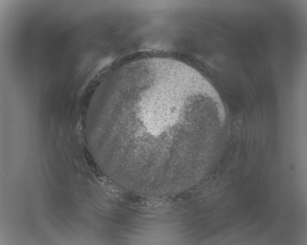 X0000054381254200508121557