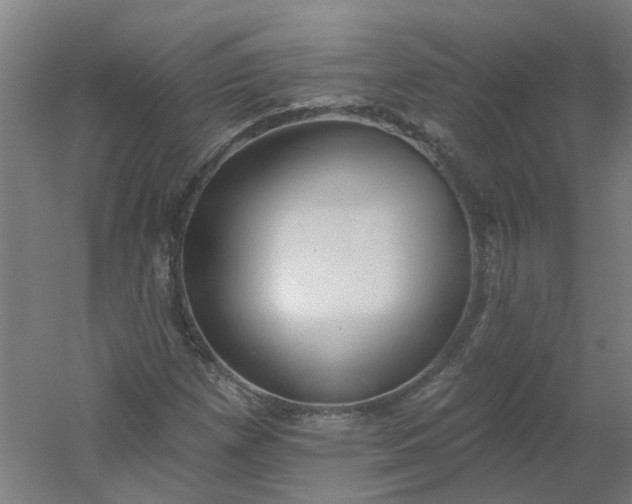 X0000054381257200508121557