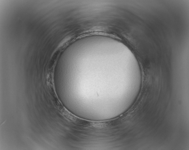 X0000054381258200508121557