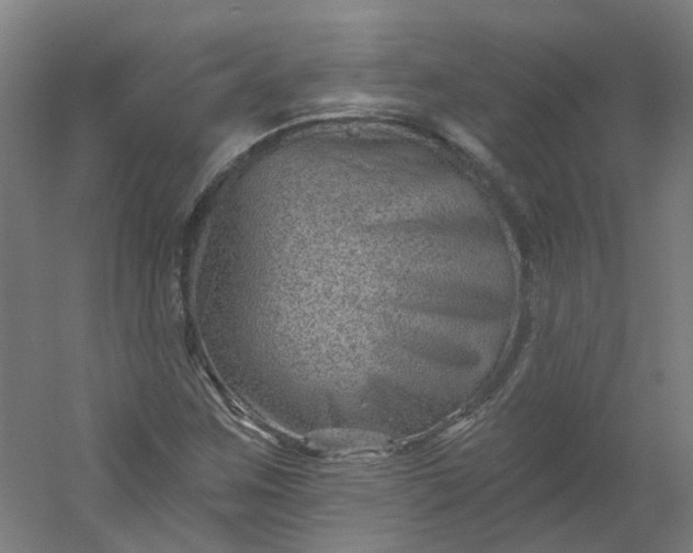 X0000054381259200508121557