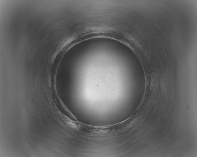 X0000054381261200508121557
