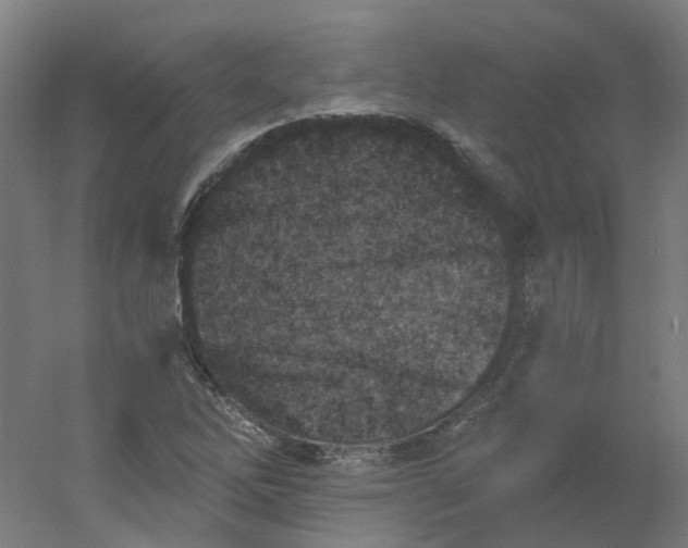 X0000054381262200508121557