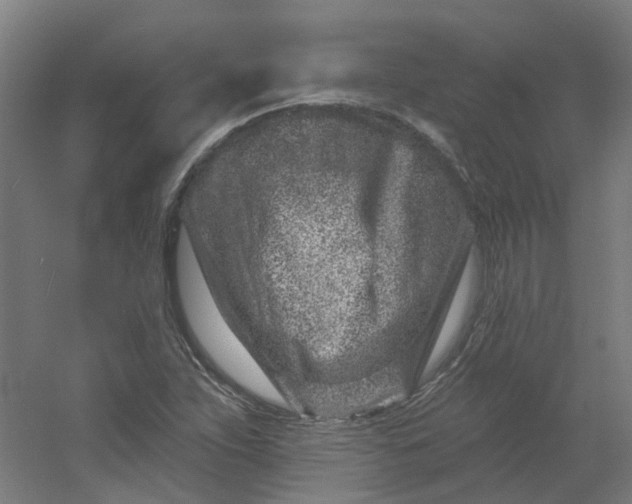 X0000054381263200508121557
