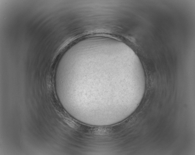 X0000054381266200508121557