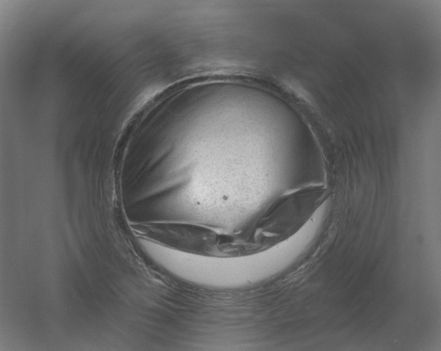X0000054381267200508121557