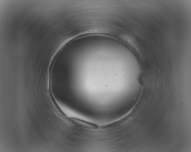 X0000054381276200508121557