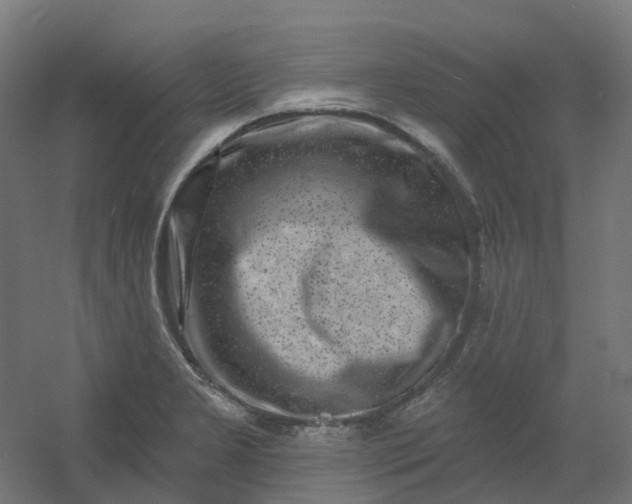 X0000054381277200508121557