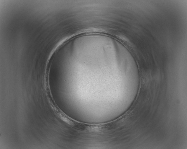 X0000054381278200508121557