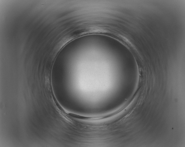 X0000054381281200508121557