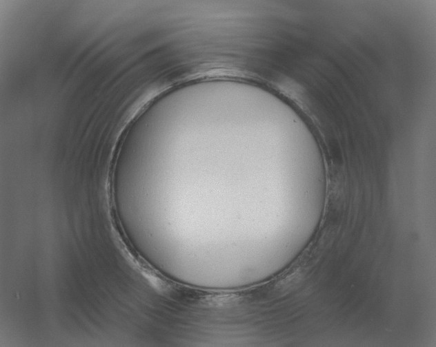 X0000054381282200508121557