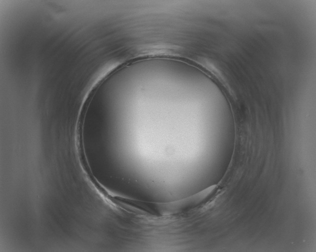 X0000054381285200508121557