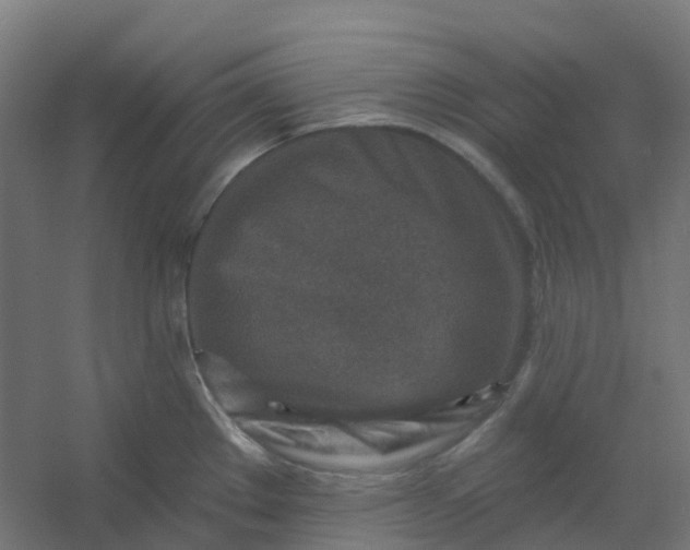 X0000054381289200508121557