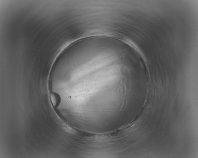 X0000054381291200508121557