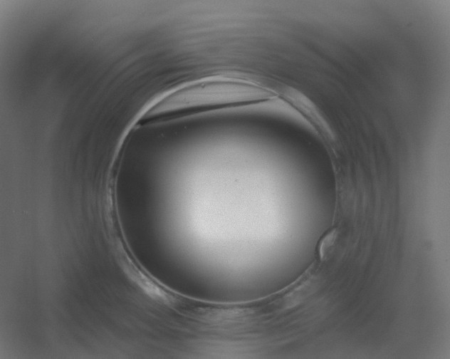 X0000054381292200508121556