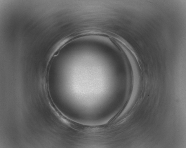 X0000054381293200508121556