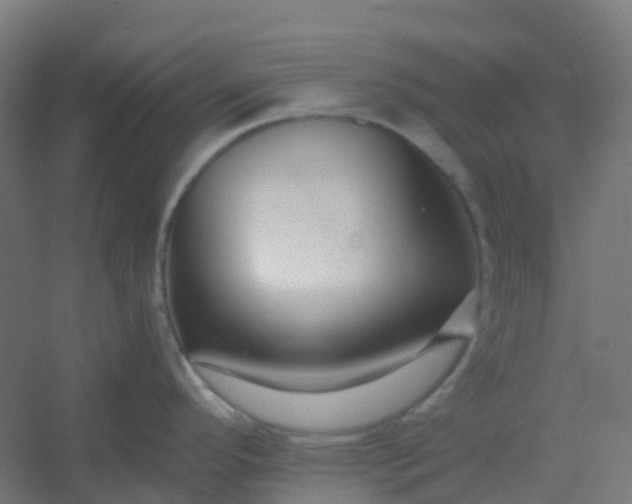 X0000054381296200508121556