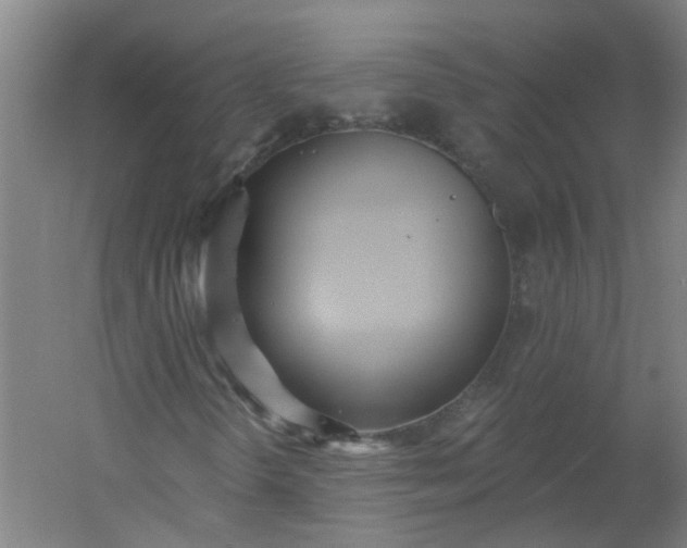 X0000054381298200508121556