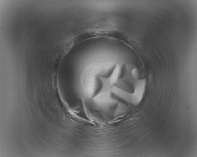 X0000054381300200508121556