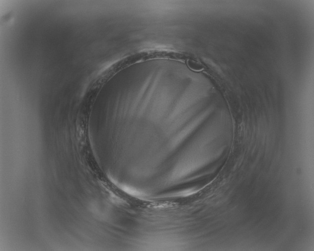X0000054381303200508121556
