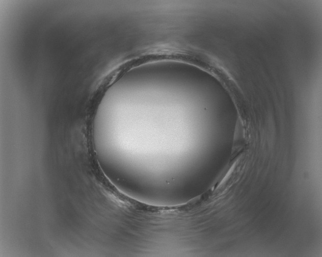 X0000054381304200508121556