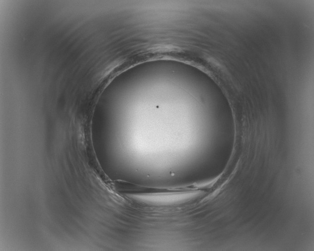 X0000054381305200508121556