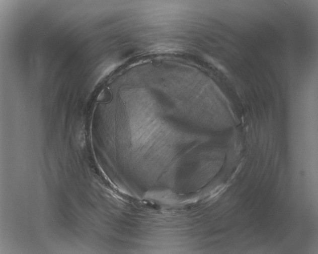 X0000054381306200508121556