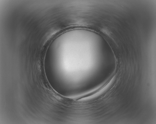 X0000054381307200508121556