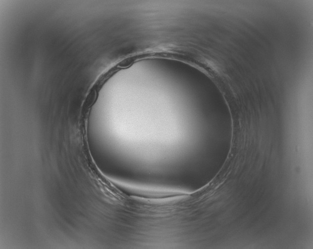 X0000054381308200508121556